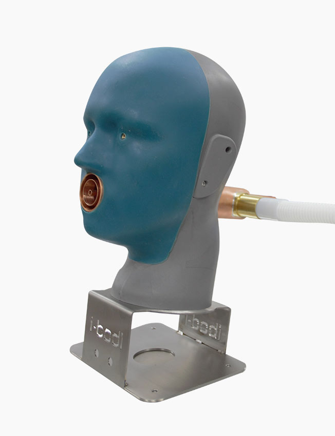 Sheffield Head Respirator Testing Headform side view